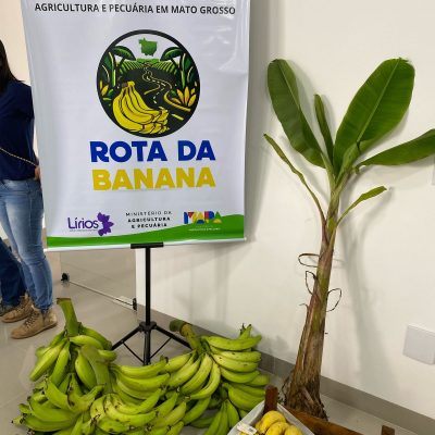 ROTA DA BANANA REUNIAO (1)