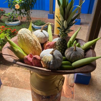 WhatsApp Image 2025-04-15 at 11.10.43