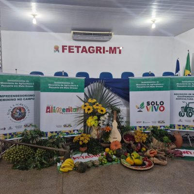 elas e o agro